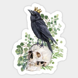 Black raven with skull and crow, skeleton eucaliptus leaves Sticker